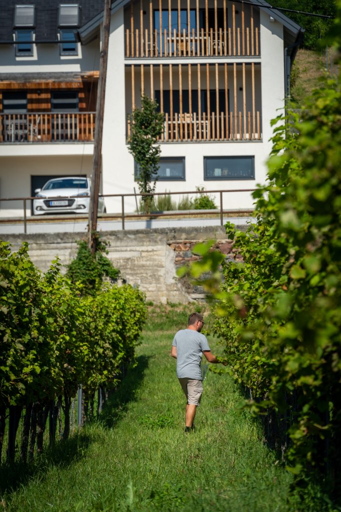 1102GE2-00500cdf685eff23a6a9d2d26b233d279ee8b3c670559d9cbbe0c9b85c2f2159e3f36