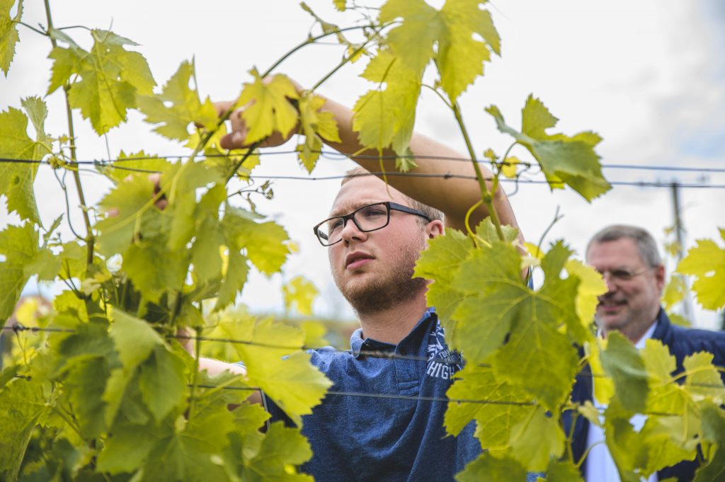 DSC_7056aec141c007260ce0f9399228df388fcc15bf5c9713aed548e486827859896fb1