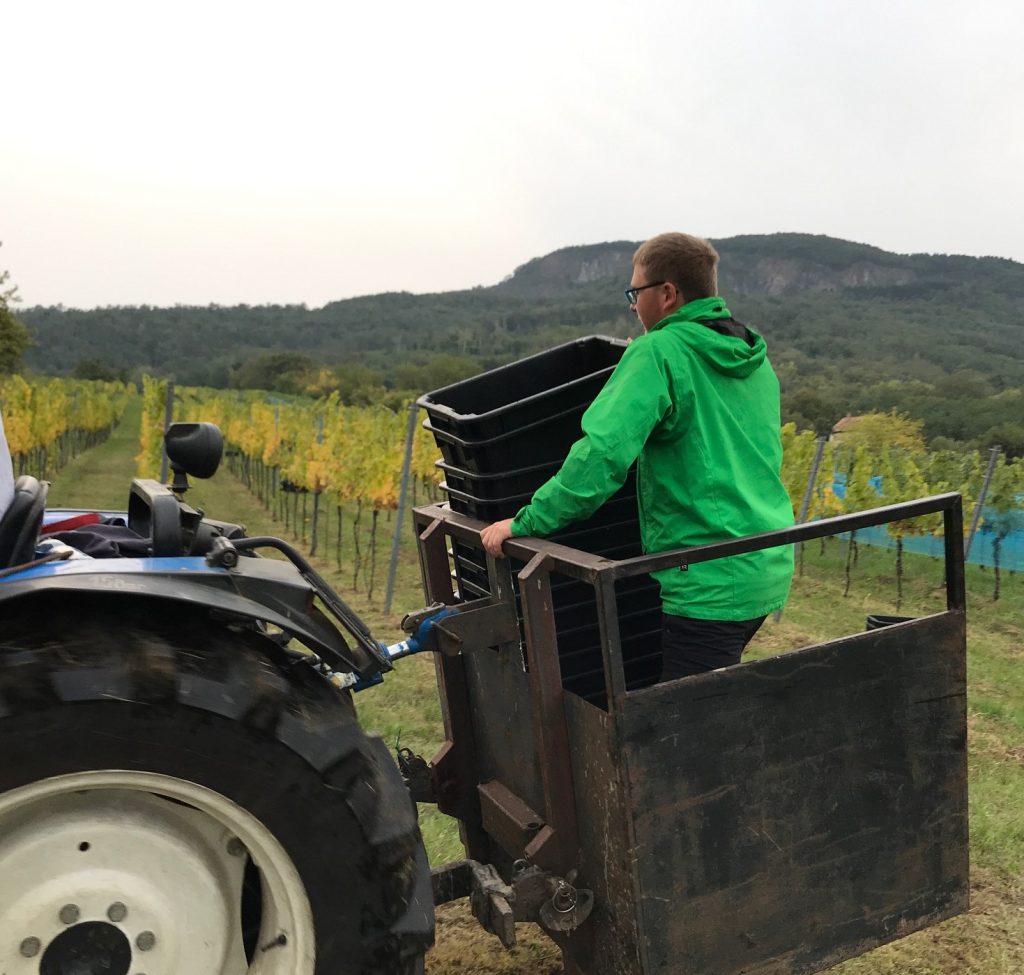 Lese2017#0200bc885e1e98c2db622fff2d8e4083f33d01f5f777e5902712a0ed7dff3c58bd