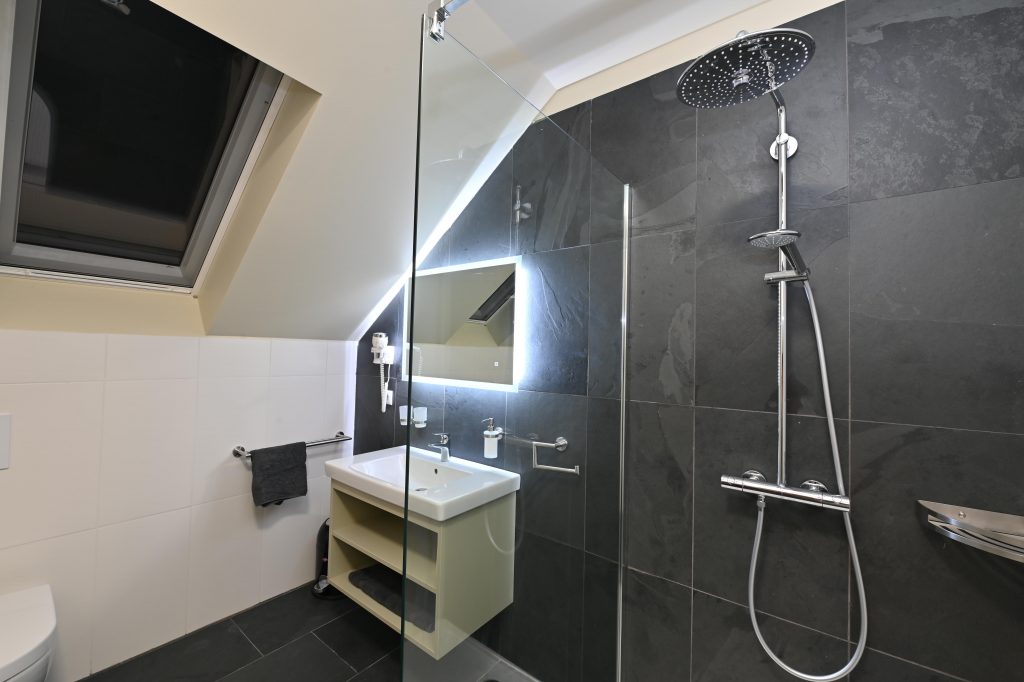 DSC_1956 bathroom with shower and toilet