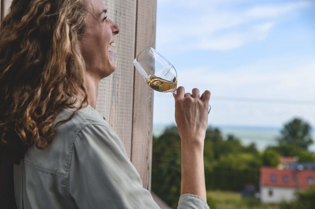 Wine drinking Wine drinking and view to Lake Balaton