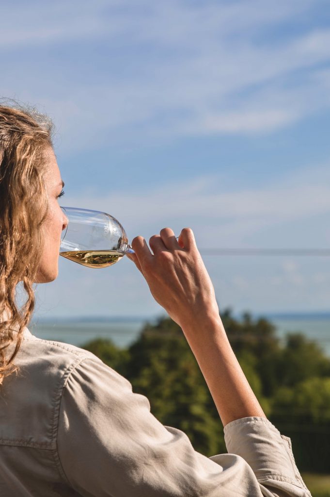 E756A7BF-C054-4E40-A8C8-C116FC5D28E6_1_201_a drinking wine with view to lake balaton